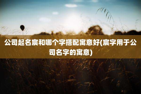 公司起名宸和哪个字搭配寓意好(宸字用于公司名字的寓意)