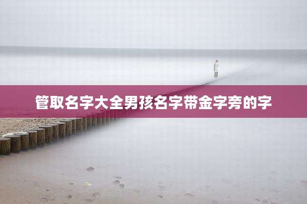 管取名字大全男孩名字带金字旁的字