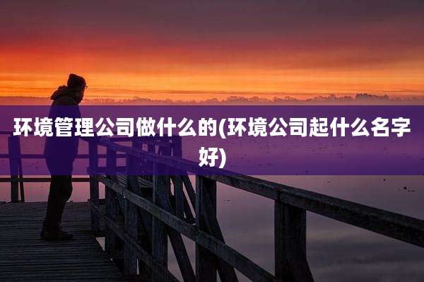 环境管理公司做什么的(环境公司起什么名字好)
