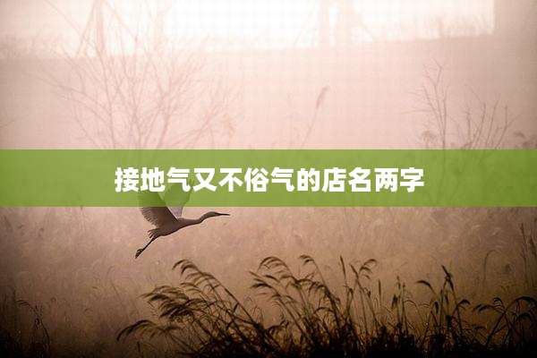 接地气又不俗气的店名两字