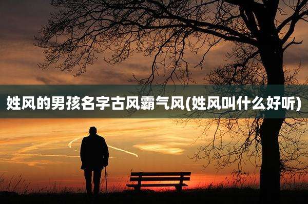 姓风的男孩名字古风霸气风(姓风叫什么好听)