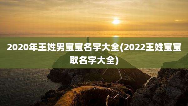 2020年王姓男宝宝名字大全(2022王姓宝宝取名字大全)