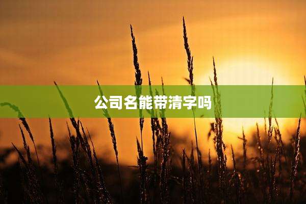 公司名能带清字吗