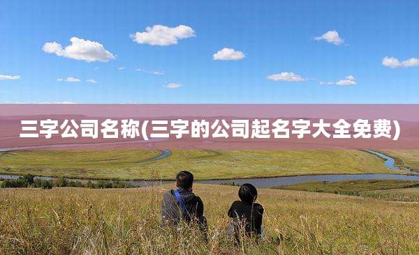 三字公司名称(三字的公司起名字大全免费)