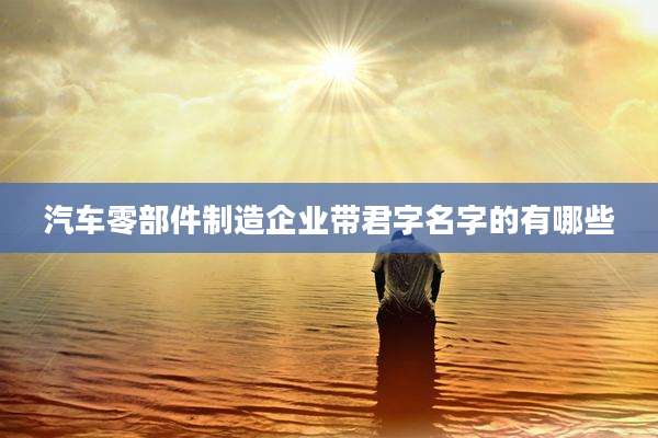 汽车零部件制造企业带君字名字的有哪些