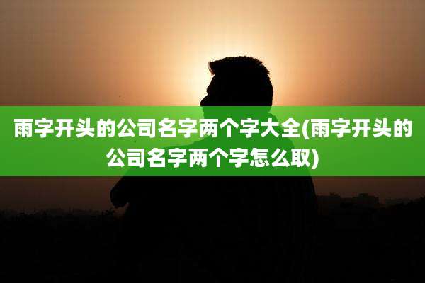 雨字开头的公司名字两个字大全(雨字开头的公司名字两个字怎么取)