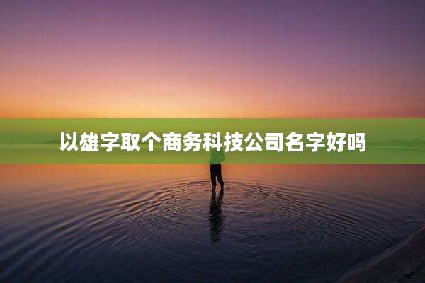 以雄字取个商务科技公司名字好吗