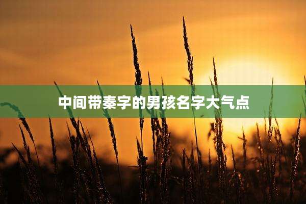 中间带秦字的男孩名字大气点