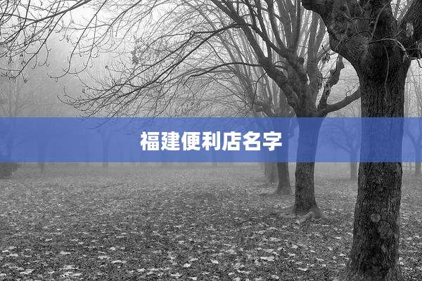 福建便利店名字
