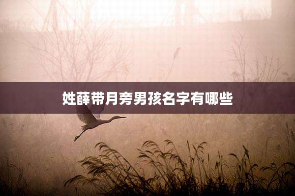 姓薛带月旁男孩名字有哪些