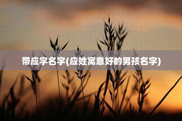 带应字名字(应姓寓意好的男孩名字)