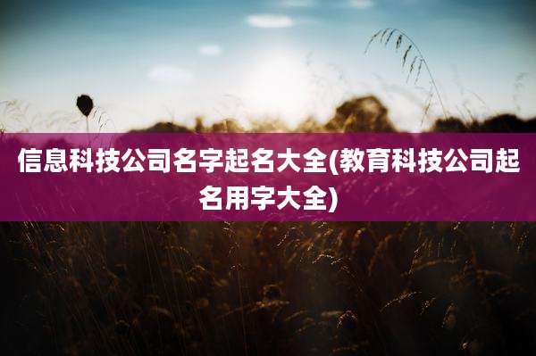 信息科技公司名字起名大全(教育科技公司起名用字大全)
