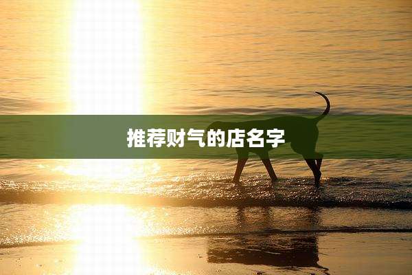 推荐财气的店名字