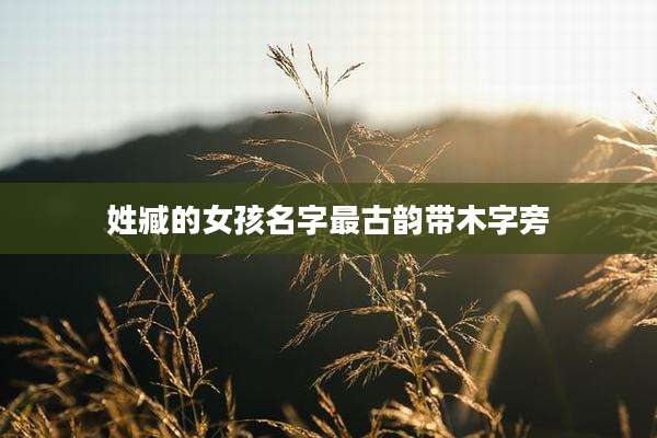 姓臧的女孩名字最古韵带木字旁
