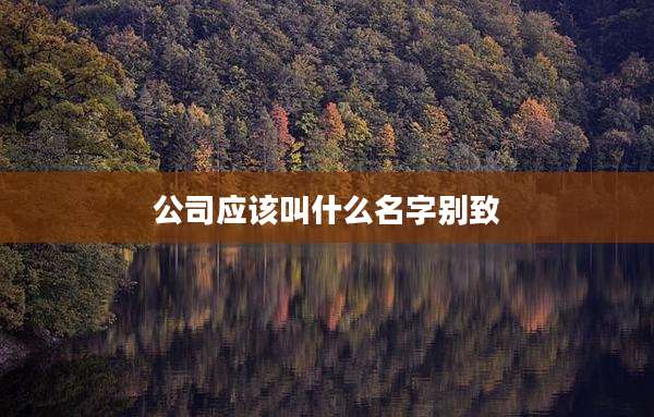 公司应该叫什么名字别致