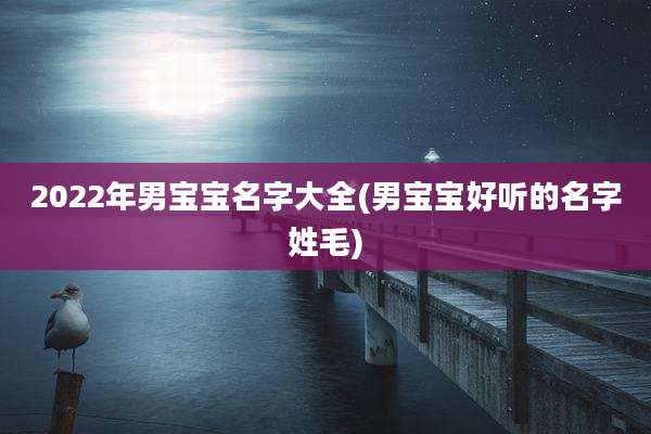 2022年男宝宝名字大全(男宝宝好听的名字姓毛)