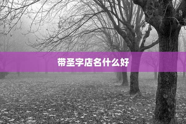 带圣字店名什么好