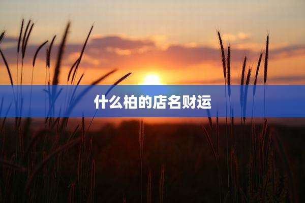 什么柏的店名财运