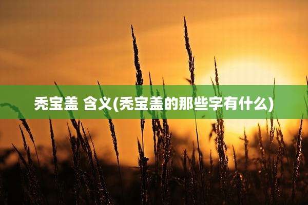 秃宝盖 含义(秃宝盖的那些字有什么)