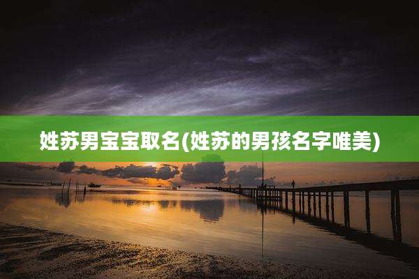 姓苏男宝宝取名(姓苏的男孩名字唯美)