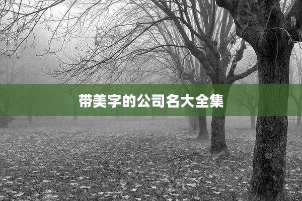 带美字的公司名大全集