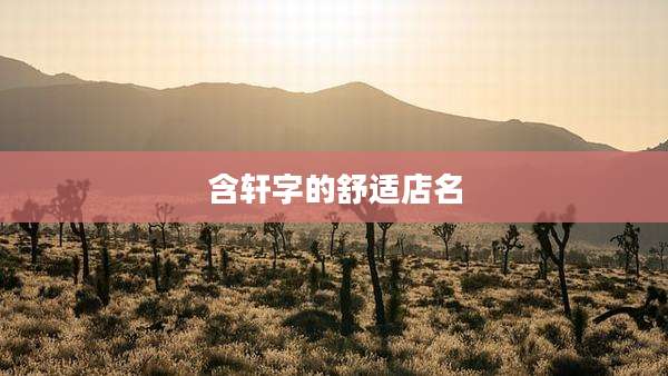 含轩字的舒适店名