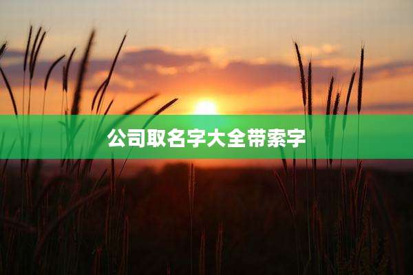 公司取名字大全带索字