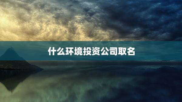什么环境投资公司取名