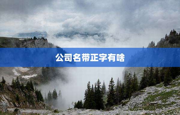 公司名带正字有啥
