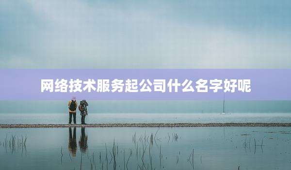 网络技术服务起公司什么名字好呢