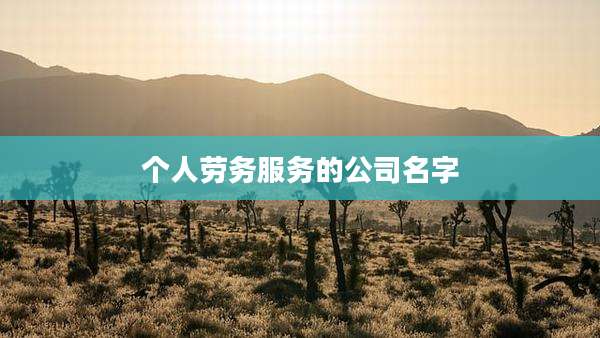 个人劳务服务的公司名字