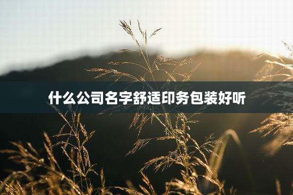 什么公司名字舒适印务包装好听
