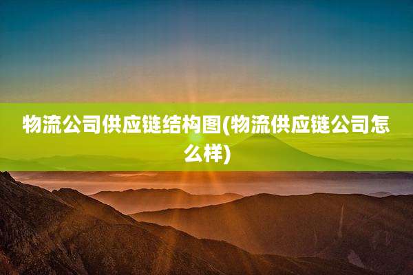物流公司供应链结构图(物流供应链公司怎么样)