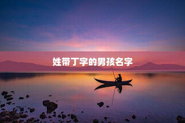 姓带丁字的男孩名字