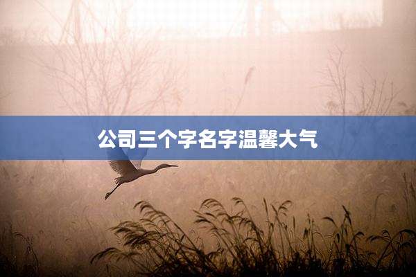 公司三个字名字温馨大气