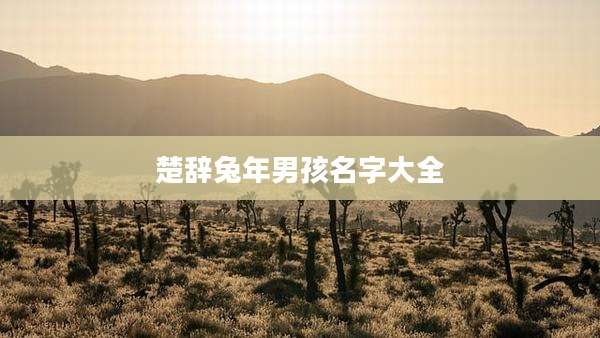 楚辞兔年男孩名字大全