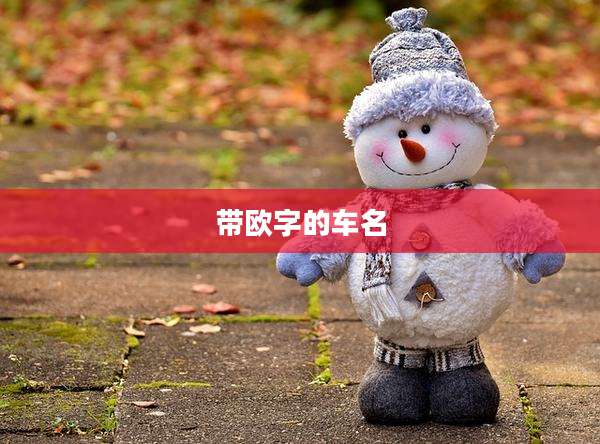 带欧字的车名