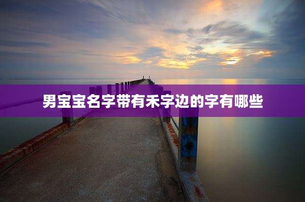 男宝宝名字带有禾字边的字有哪些