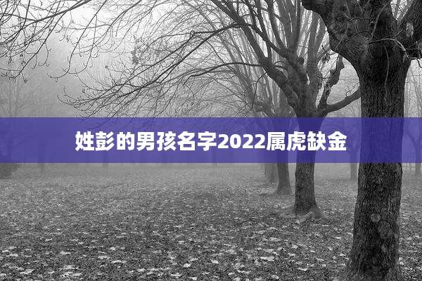 姓彭的男孩名字2022属虎缺金