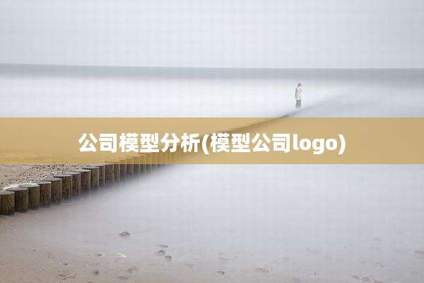 公司模型分析(模型公司logo)