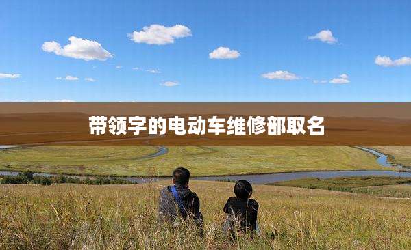 带领字的电动车维修部取名