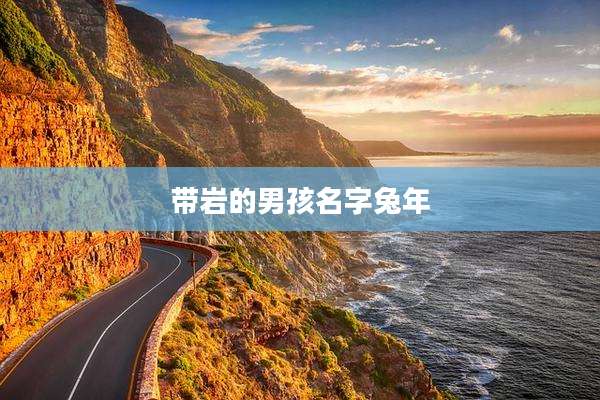 带岩的男孩名字兔年