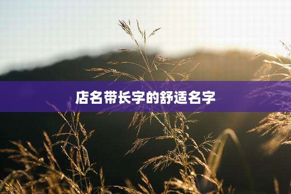 店名带长字的舒适名字