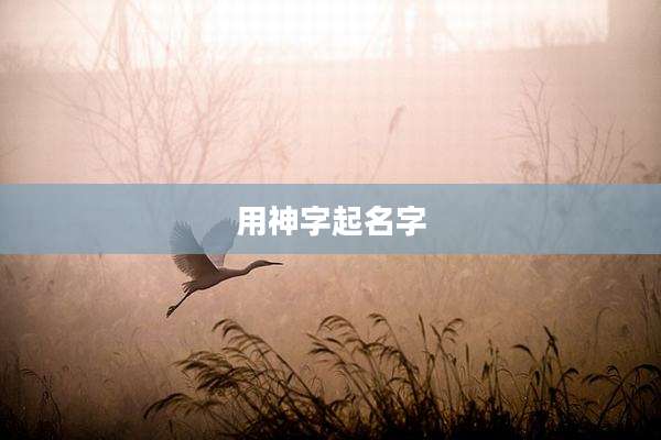 用神字起名字