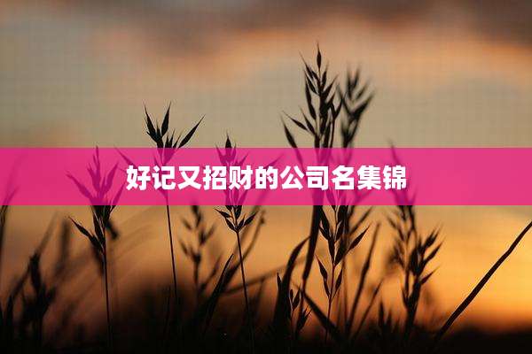 好记又招财的公司名集锦
