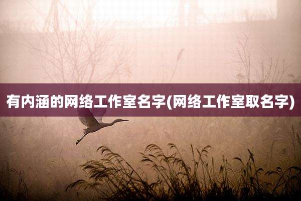 有内涵的网络工作室名字(网络工作室取名字)