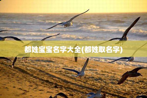 都姓宝宝名字大全(都姓取名字)