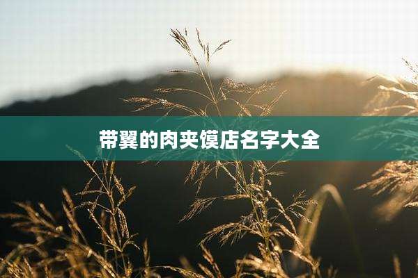 带翼的肉夹馍店名字大全