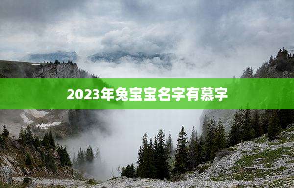 2023年兔宝宝名字有慕字