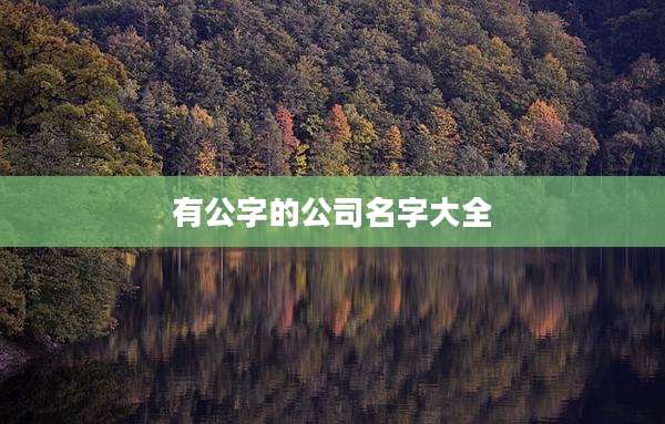 有公字的公司名字大全
